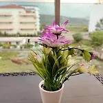 Saeri\'S Stylish Apartment